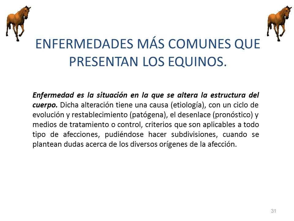El resumen por el tema las setas los parásitos